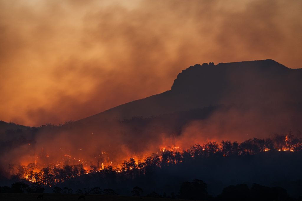 climate emergency